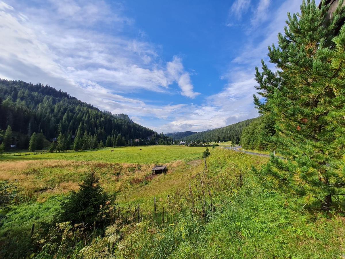 Apartmenthaus Almwiese Flattnitz Екстериор снимка