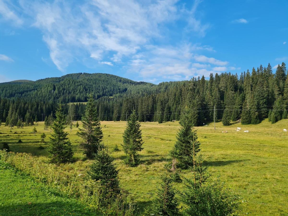 Apartmenthaus Almwiese Flattnitz Екстериор снимка