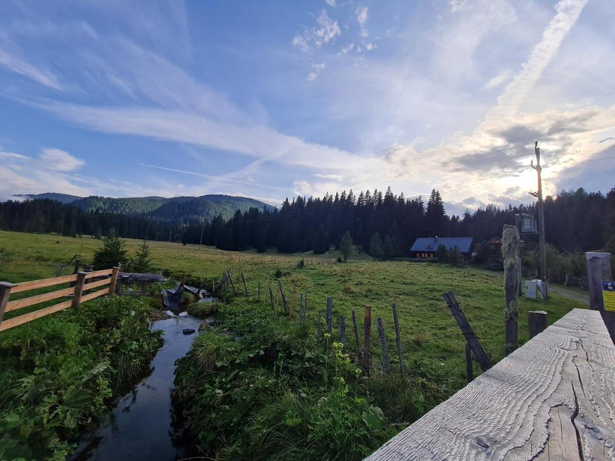 Apartmenthaus Almwiese Flattnitz Екстериор снимка