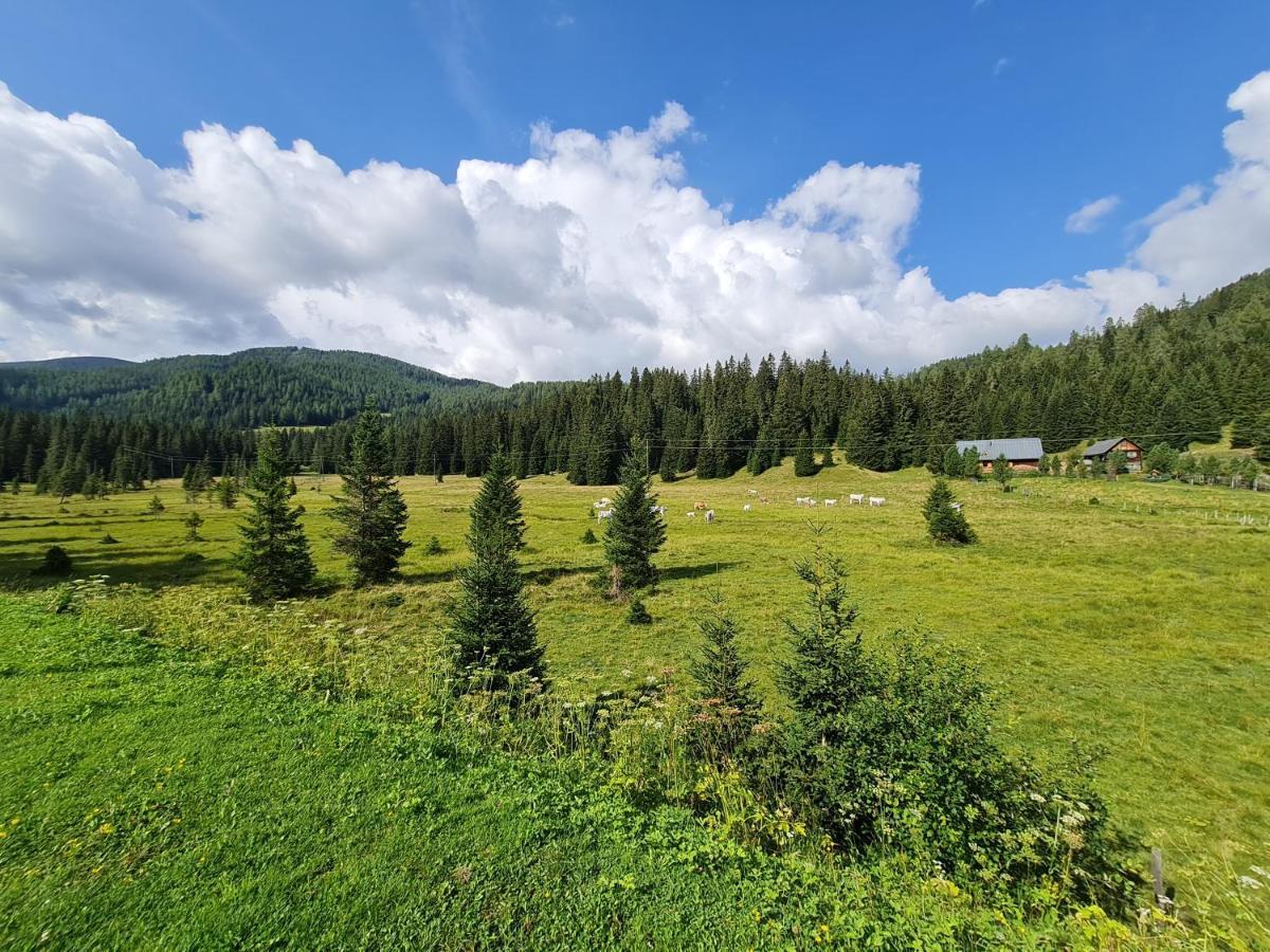Apartmenthaus Almwiese Flattnitz Екстериор снимка