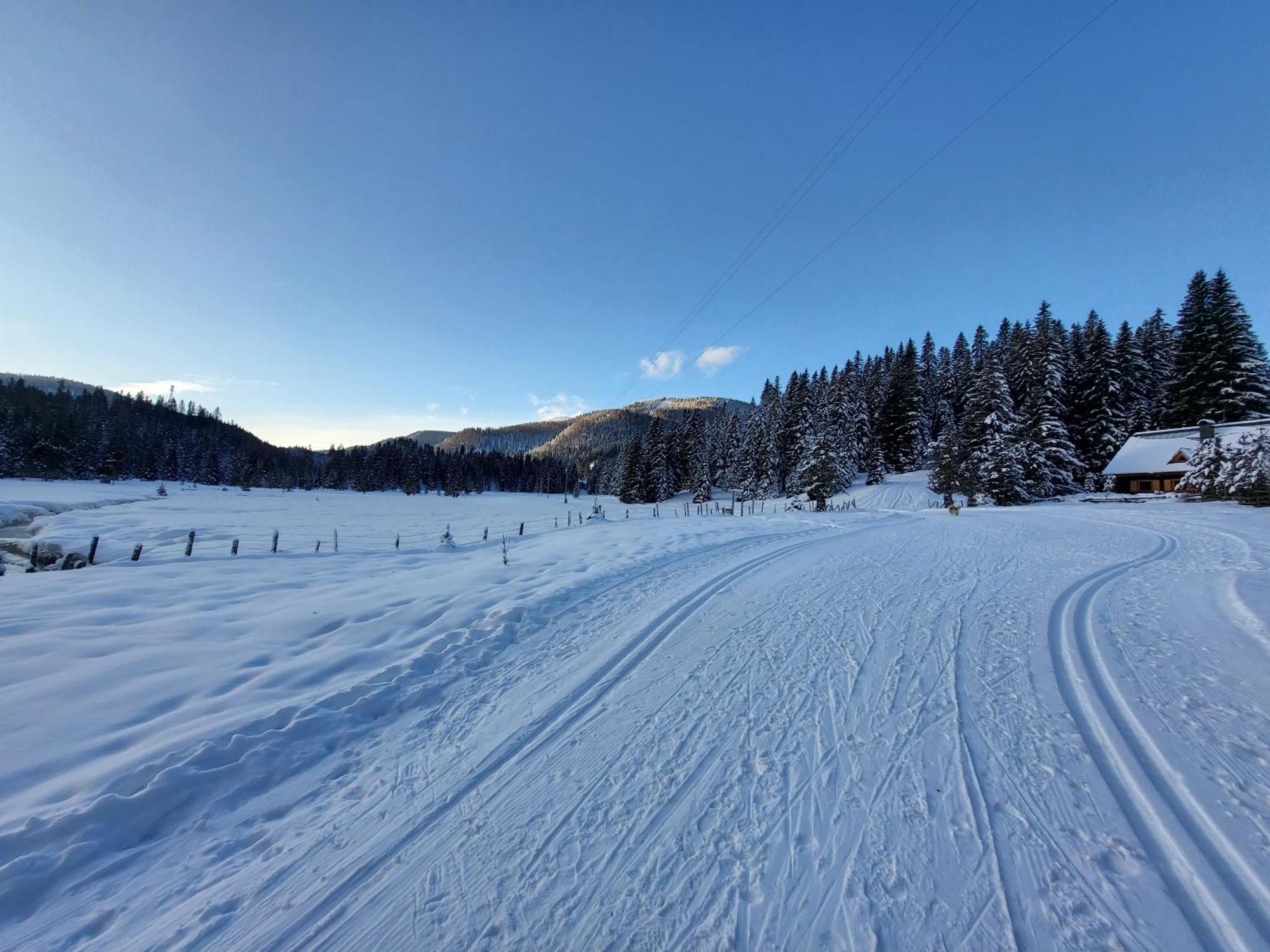 Apartmenthaus Almwiese Flattnitz Екстериор снимка